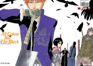 Ichigo, Rukia, Renji, Byakuya, and Kenpachi on the cover of All Colour But The Black.