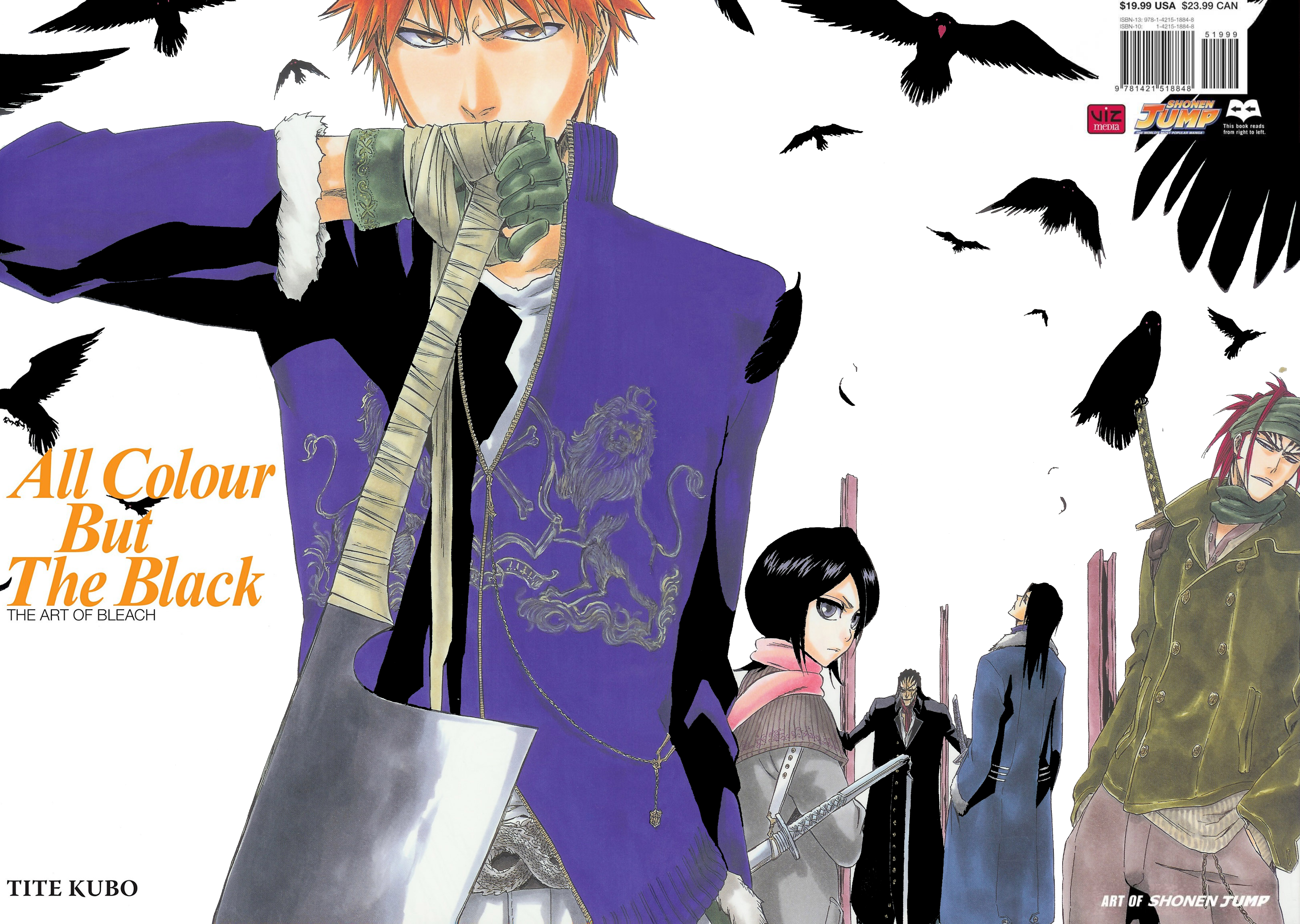 BLEACH: The Official Anime Coloring Book (Bleach: The Official Coloring  Book)