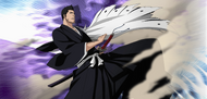 Isshin as he appeared during the war in Fake Karakura Town.