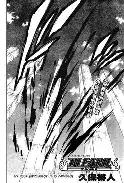 Bleach 144 Portada