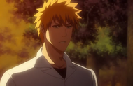 258Ichigo asks