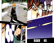 Ginjō and Ichigo on the cover of Chapter 461.