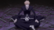 Zangetsu (Quincy Powers) | Bleach Wiki | Fandom