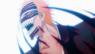 Masked Ichigo