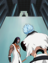 O122 Kaname i Grimmjow