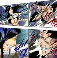 Kenpachi and Nnoitra continue clashing.