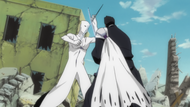 Isshin fighting Aizen.