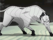 Grimmjow Adjuchas