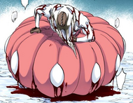 302Zommari emerges