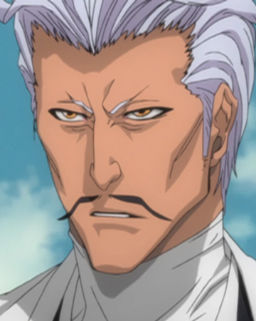 Chōjirō Sasakibe Bleach Wiki Fandom