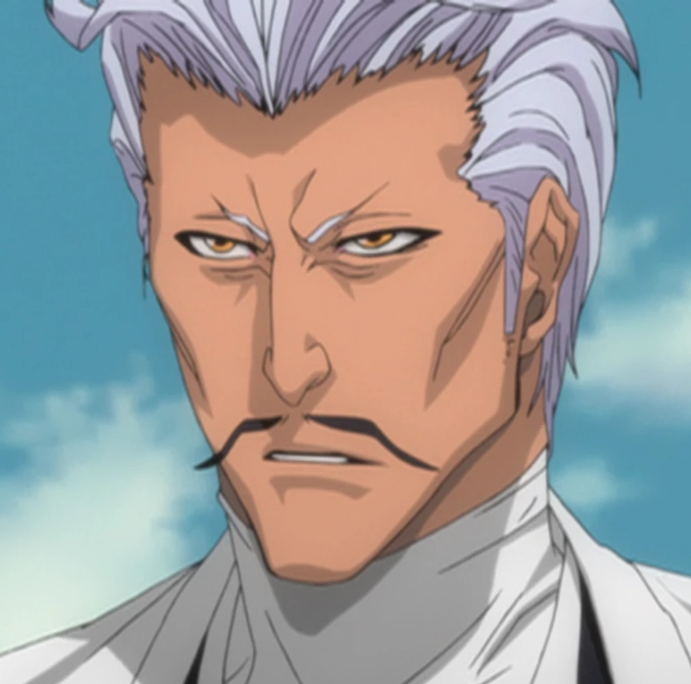 Chōjirō Sasakibe | Bleach Wiki | Fandom