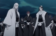 The Gotei 13 realize the dangerous situation they are in with Muramasa as an enemy.