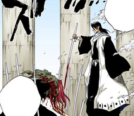 Byakuya draws one of the swords pinning down Renji.