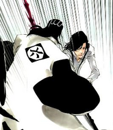 Byakuya is cut by Tsukishima's Book of the End.