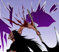 670Kenpachi loses his arm