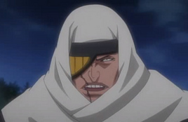 Ep176GengaProfile