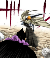 Ichigo Kurosaki blocks the lieutenants' path.