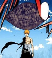 Ichigo prepares to depart for the Fake Karakura Town.