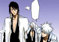 672Hitsugaya collapses