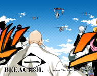 Marechiyo, his fellow Shinigami, and the enemy captains and Arrancar on the cover of Chapter 316.