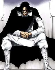 484Yhwach full body