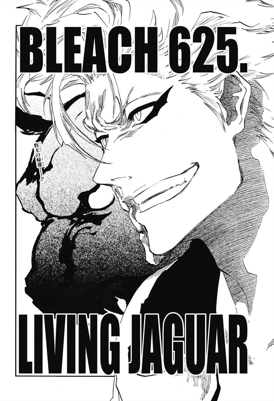 Chapitre 625 Bleach Wiki Fandom