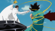 293Aizen slashes