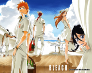 The color spread cover of chapter 317, featuring Ichigo, Orihime, Rukia, Renji, Sado, and Uryū at the beach.