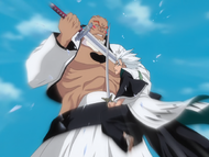 Tōshirō Hitsugaya suddenly attacks Yammy.