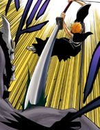 Ichigo stabs Shrieker's leg.