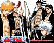 Renji, Ichigo, Ikkaku, Kenpachi, Byakuya, and Hitsugaya.