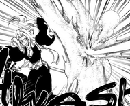 Rangiku uses Haineko as a shield.