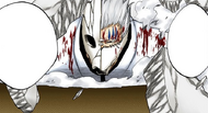 Aisslinger muses on Uryū's declaration that Sousuke Aizen should fear him.