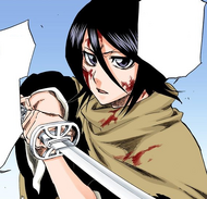 Rukia promises to kill Aaroniero without hesitation now that she knows the truth.