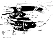 Ichigo vuelve a ser Shinigami
