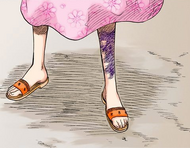 The wound on Orihime's leg.