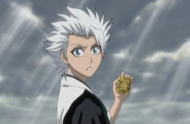 Hitsugaya holds the Ōin.