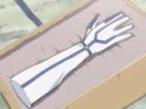 Sanrei Glove