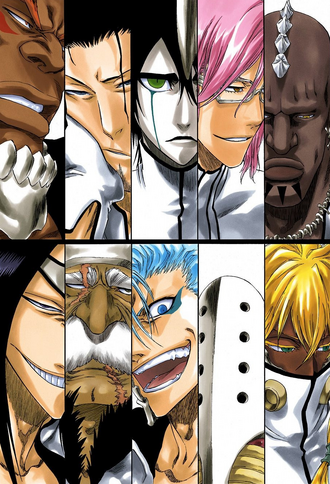 Espada Bleach Wiki Fandom