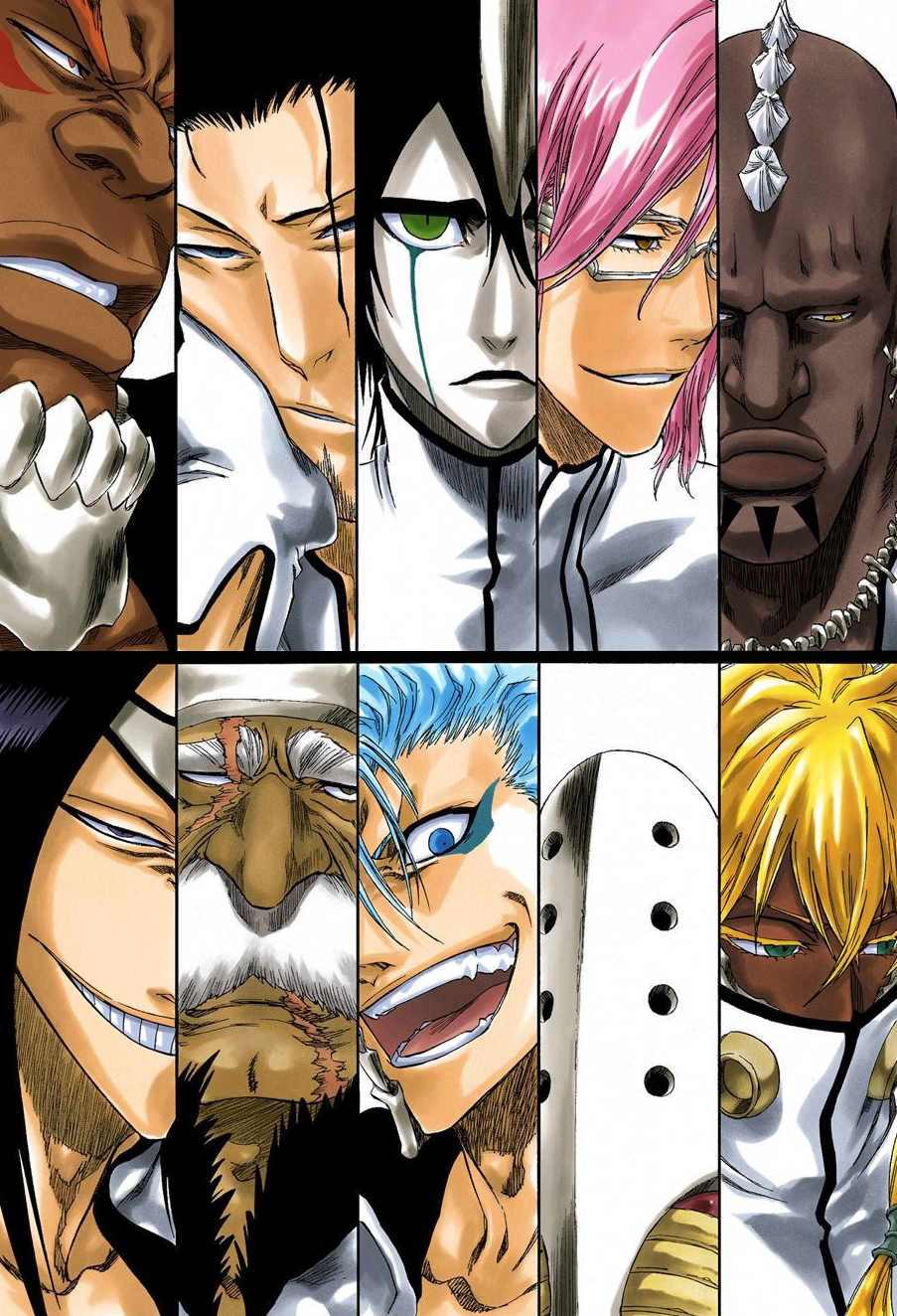 Souls Reapers, Quincys, Espada, Fullbringers, or Visoreds? Which  organization would you join? : r/bleach