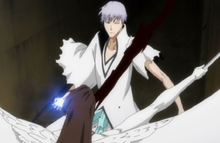 307Aizen slashes