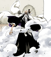 Yamamoto saves Hisagi.