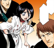 Rukia expresses concern for a wounded Byakuya.