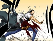 Tessai uses Tesshō on a Hollow.