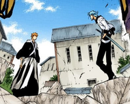 625Grimmjow confronts