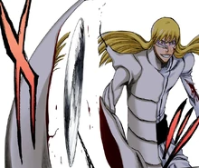 Findorr es cortado por Kazeshini