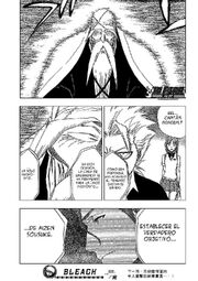 Bleach 222 01