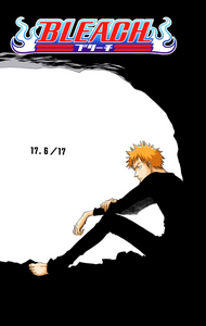 Bleach - Volume 3: Memories in the Rain