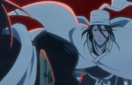 Byakuya cautions Rukia against helping Kenpachi since she has not fully recovered from her battle.