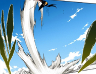 Ichigo leaps into the air after telling Kenpachi that his duty is to protect his friends.